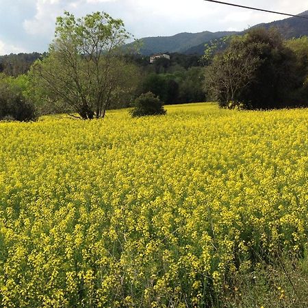 Casa Rural Can Panxa Sant Pere de Vilamajor Exteriér fotografie
