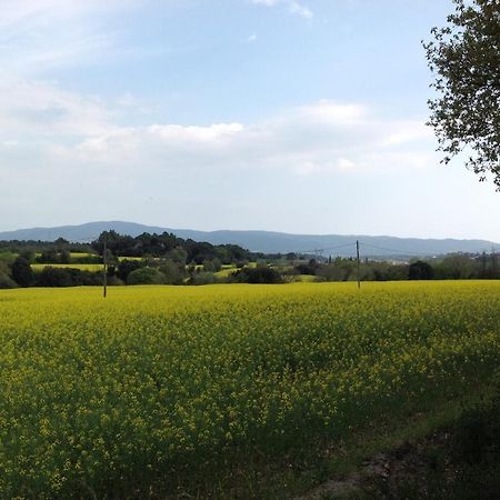 Casa Rural Can Panxa Sant Pere de Vilamajor Exteriér fotografie