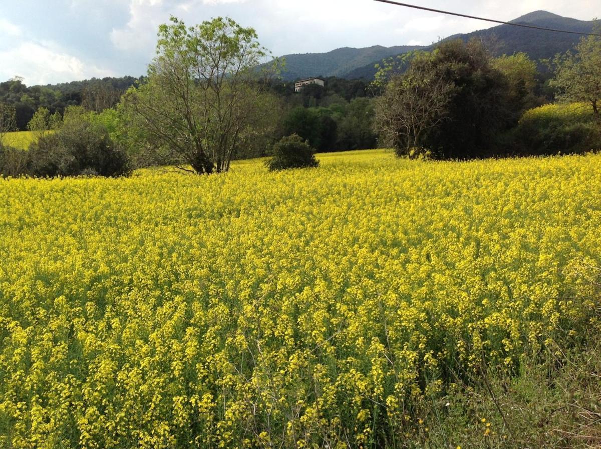 Casa Rural Can Panxa Sant Pere de Vilamajor Exteriér fotografie