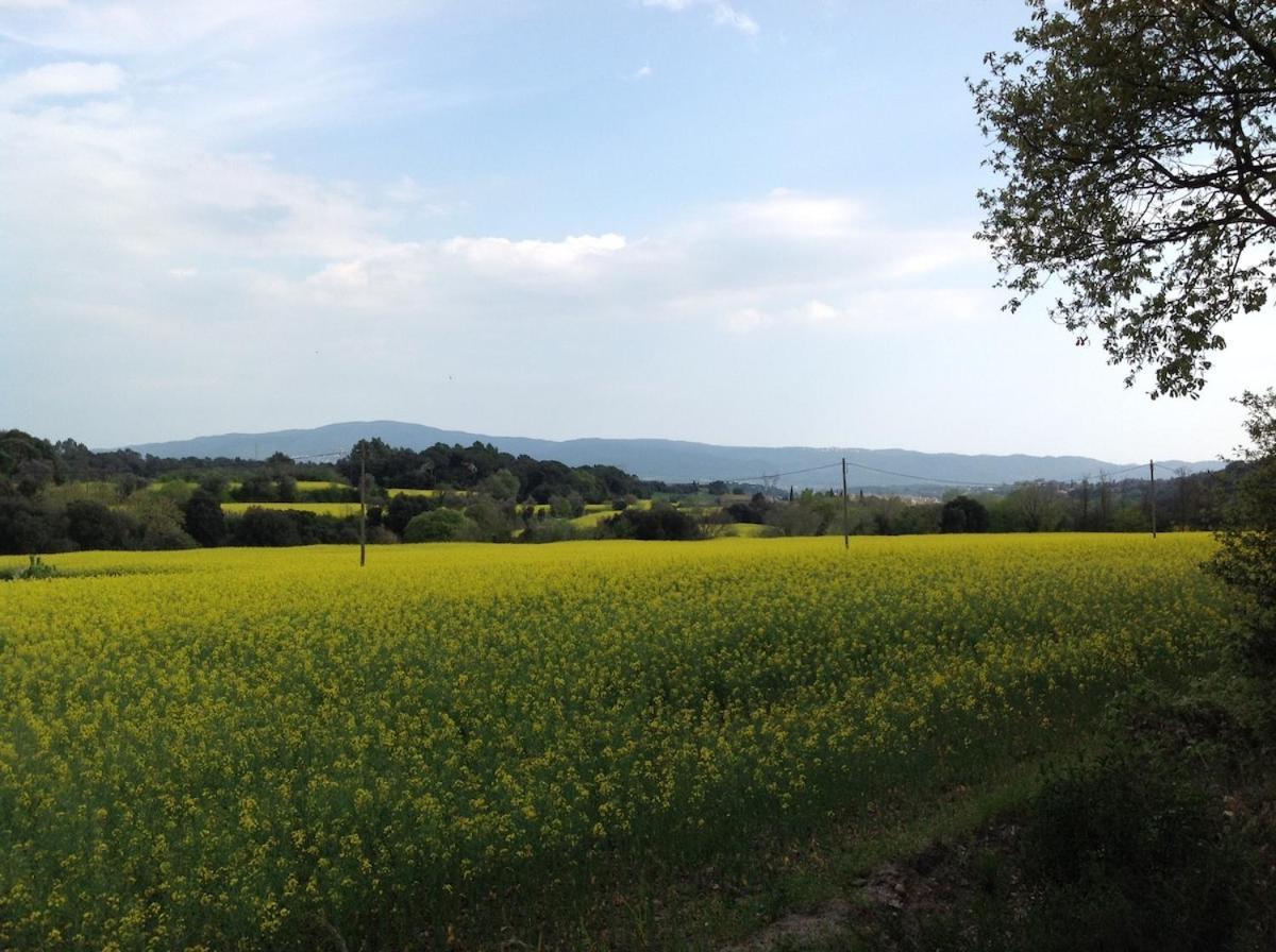Casa Rural Can Panxa Sant Pere de Vilamajor Exteriér fotografie