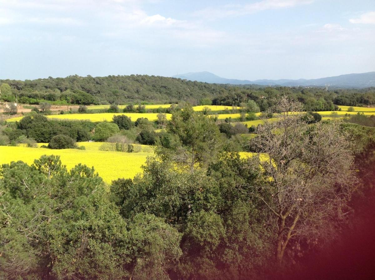 Casa Rural Can Panxa Sant Pere de Vilamajor Exteriér fotografie